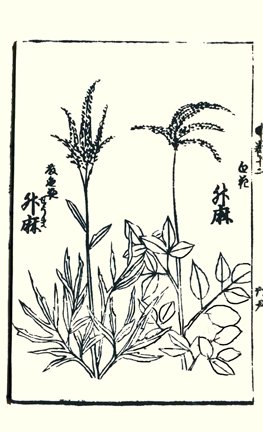 photo39.jpg