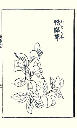 photo42.jpg