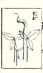 photo5_small.jpg