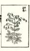photo6_small.jpg