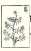 photo9_small.jpg