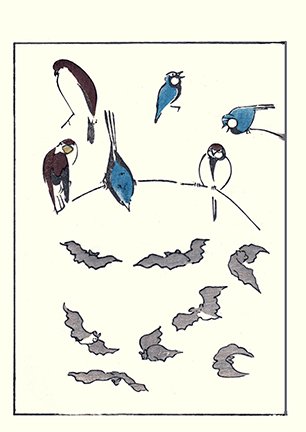 photo19.jpg