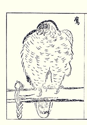 photo.jpg