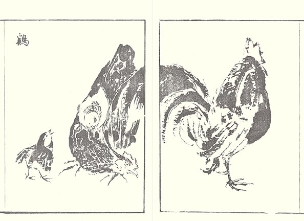 photo13.jpg