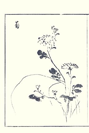 photo23.jpg