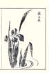 photo24_small.jpg