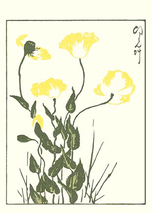 photo34.jpg