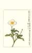 photo102_small.jpg