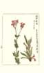 photo103_small.jpg