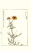 photo107_small.jpg