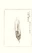 photo111_small.jpg