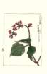 photo112_small.jpg