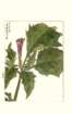 photo114_small.jpg