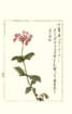 photo118_small.jpg