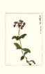 photo119_small.jpg