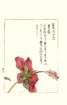 photo120_small.jpg