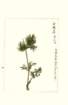 photo123_small.jpg