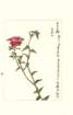 photo124_small.jpg