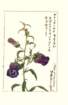 photo129_small.jpg