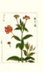 photo12_small.jpg