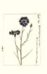 photo139_small.jpg