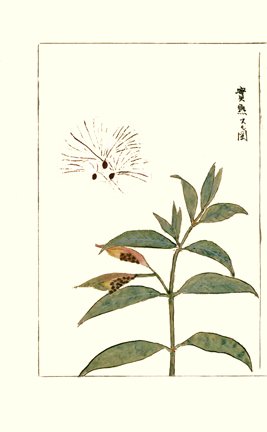 photo14.jpg