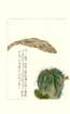 photo148_small.jpg