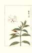 photo14_small.jpg
