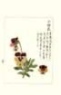 photo150_small.jpg