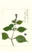 photo152_small.jpg