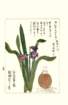 photo154_small.jpg