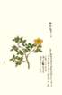photo159_small.jpg