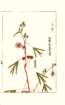 photo15_small.jpg