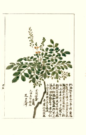 photo16.jpg