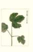 photo160_small.jpg