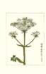 photo161_small.jpg