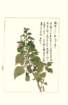 photo163_small.jpg