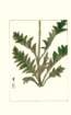 photo166_small.jpg
