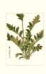 photo169_small.jpg
