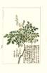 photo16_small.jpg