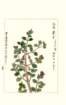 photo170_small.jpg