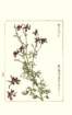 photo171_small.jpg