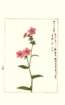 photo175_small.jpg