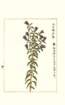 photo178_small.jpg