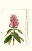 photo184_small.jpg