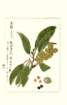 photo185_small.jpg
