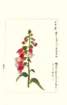 photo187_small.jpg