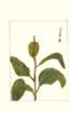 photo188_small.jpg