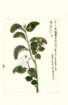 photo189_small.jpg