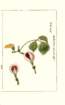 photo20_small.jpg